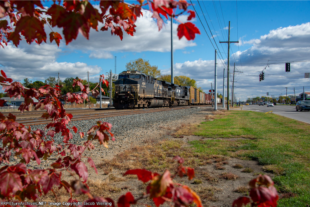 NS 4099